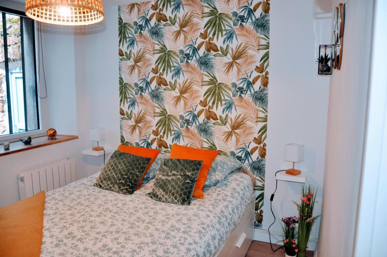 Dormir A Brioude - Appartement 'Esprit Nature' Ngoại thất bức ảnh